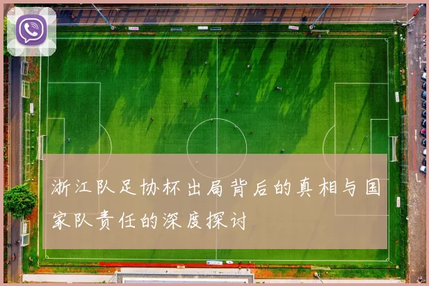 浙江队足协杯出局背后的真相与国家队责任的深度探讨